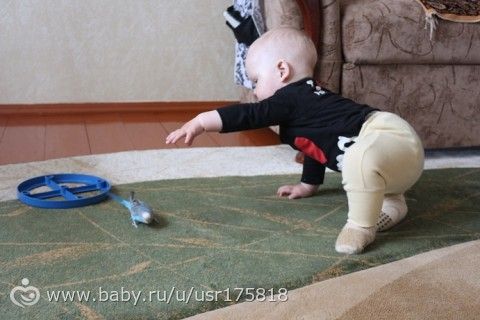365. День 188. Генуборочный