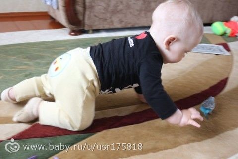 365. День 188. Генуборочный