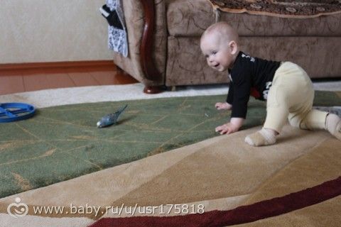 365. День 188. Генуборочный