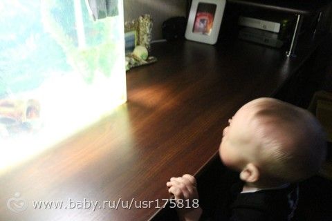365. День 188. Генуборочный