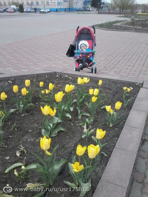 365. День 191. По делам - по долам ходит мама и Никита