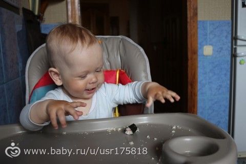 365. День 210. Обычное воскресенье, или Проба суши