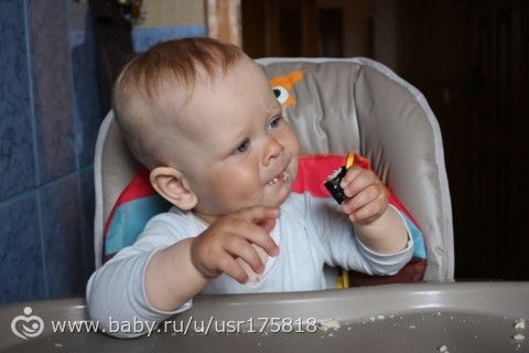 365. День 210. Обычное воскресенье, или Проба суши