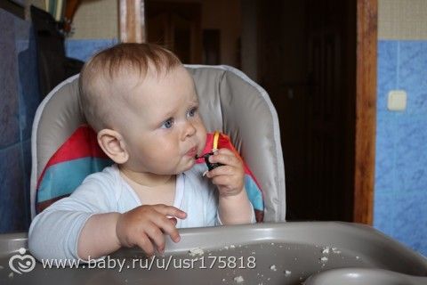 365. День 210. Обычное воскресенье, или Проба суши