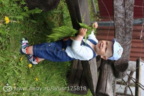 365. День 214. Подунешь - улетит