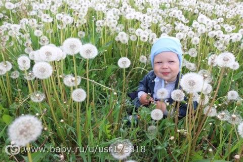 365. День 214. Подунешь - улетит
