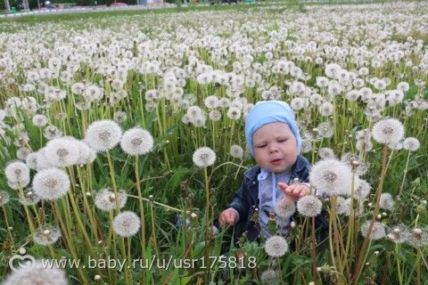 365. День 214. Подунешь - улетит