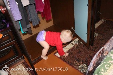 365. День 228. Шкафовый