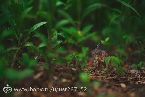 Для Самары, подруг и просто кто любит фото...
