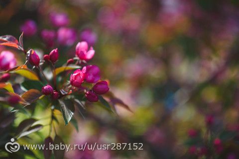 Для Самары, подруг и просто кто любит фото...
