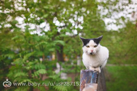 Для Самары, подруг и просто кто любит фото...