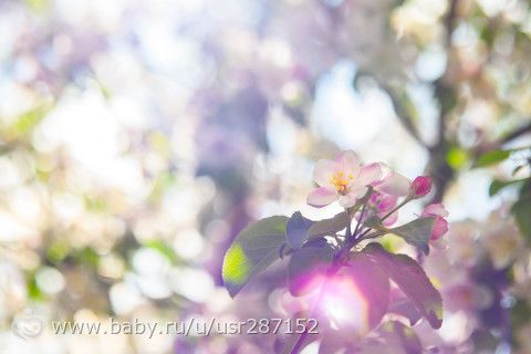 Для Самары, подруг и просто кто любит фото...