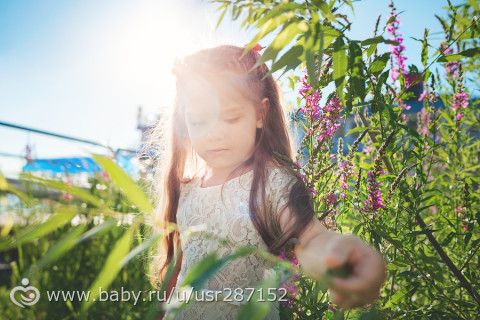 Как я провел лето )))))