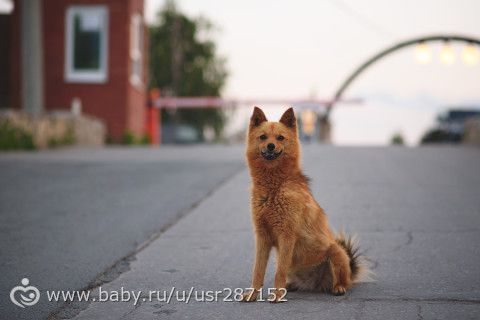 Как я провел лето )))))
