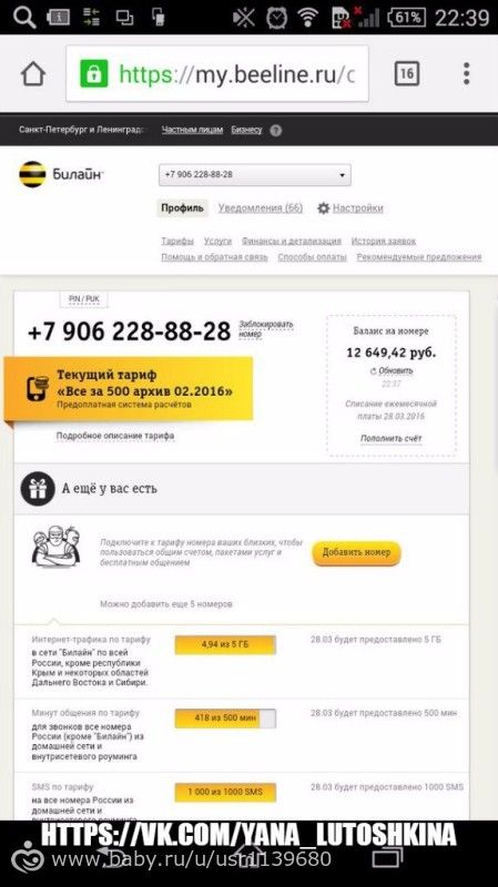 Отчет по сбору для Яны Лутошкиной за февраль