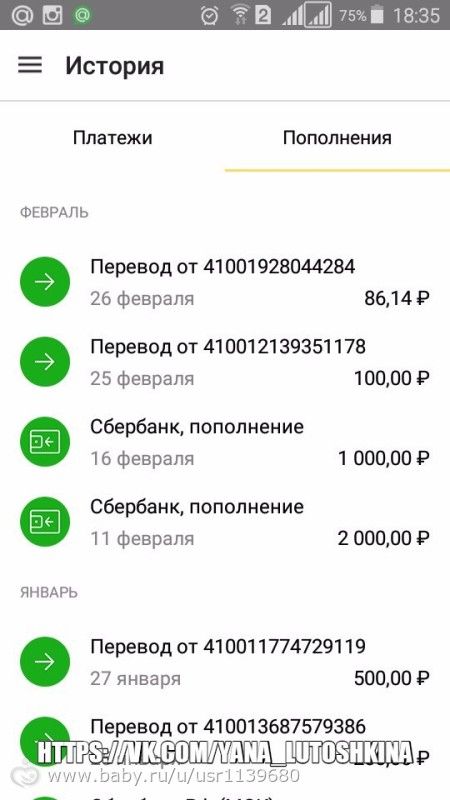 Отчет по сбору для Яны Лутошкиной за февраль