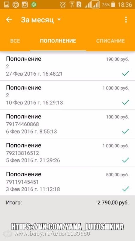 Отчет по сбору для Яны Лутошкиной за февраль