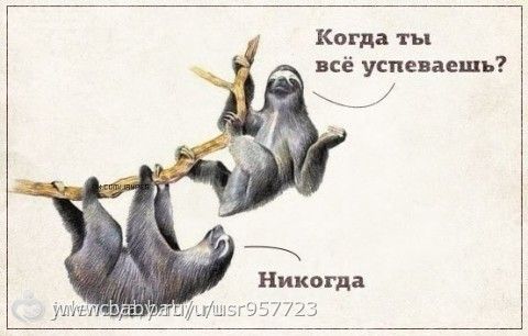 Мои похудалки....