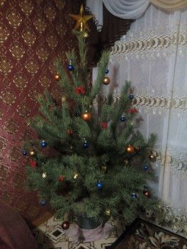 Всем привет Всем привет