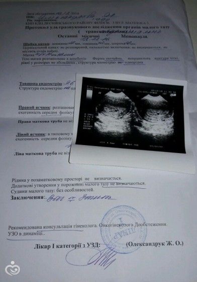 Доброе утро! Доброе утро!