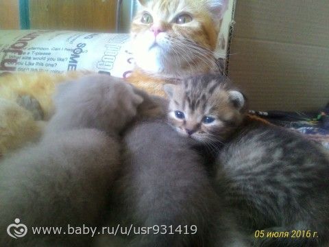 Вот тебе и генетика