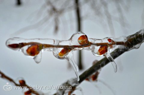 &quot;Прогулка в зимнем лесу&quot;