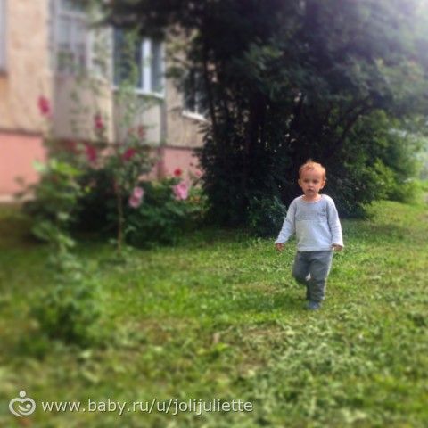 Часть 2. Лабораторные анализы