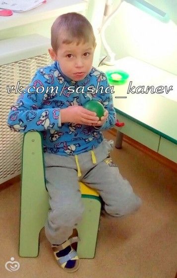 Новости Саши Канева 20 декабря 2016 года. Трудимся в поте лица!