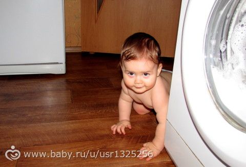 Фото нашего дня. Ку-ку.