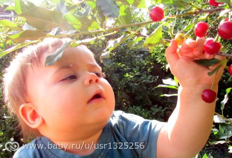 Точка отсчета и Фотки на травке