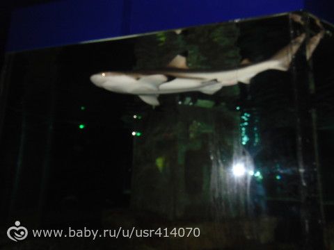 Отчет о поездке на море