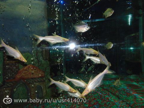 Отчет о поездке на море