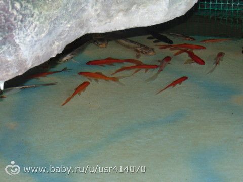 Отчет о поездке на море