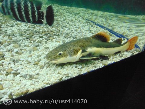 Отчет о поездке на море