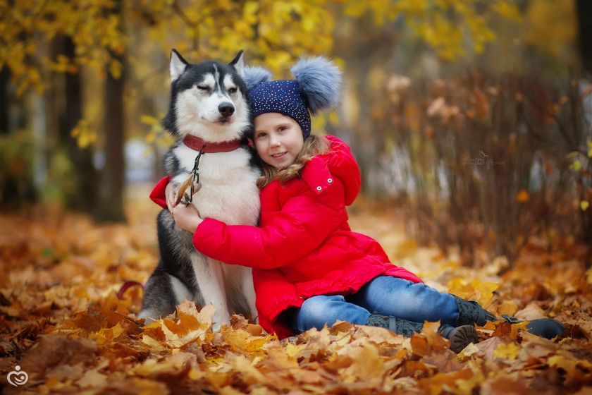 Мини фотопроект с хаски) Фотопост.