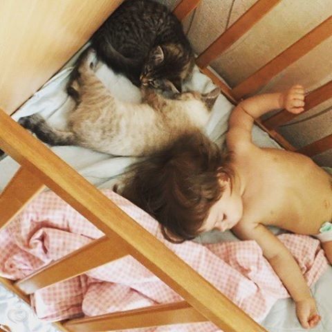 Много букв и фото. Пост о нас.