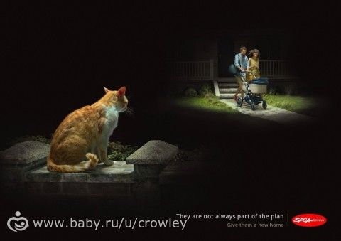 &amp;quot;К сожалению, они не всегда являются частью вашего плана. Не бросайте их...&amp;quot;
