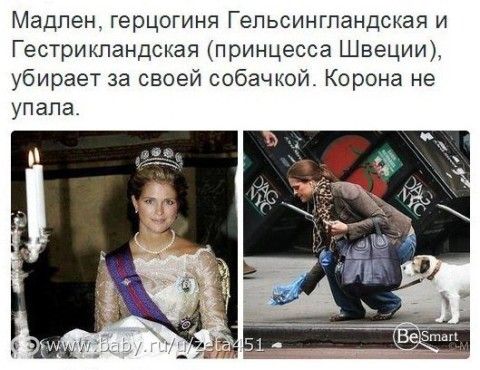 Почему в России собачатники не убирают?