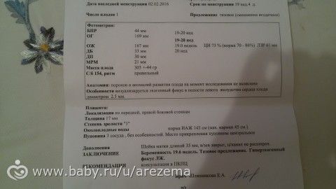 Скрининговое узи во втором триместре каким должен быть