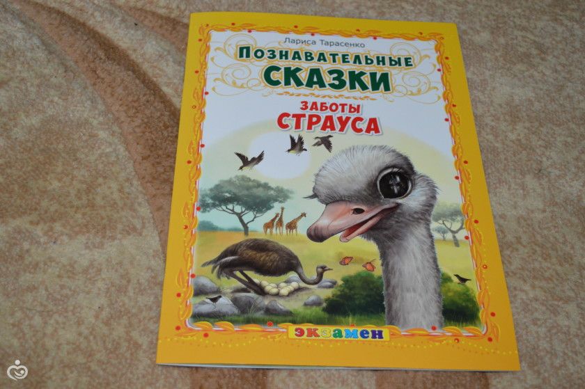 Марафон &amp;quot;Маленькие учёные&amp;quot;. Орнитология.