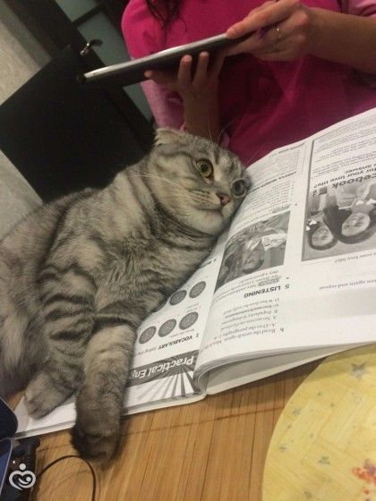 Царь! Очень приятно, Царь!