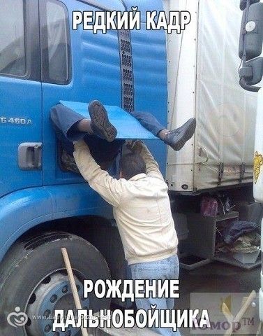 фото рождение дальнобойщика онлайн фото рождение дальнобойщика