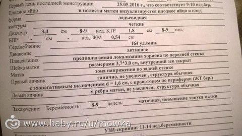 Первое УЗИ.все ли нормально?