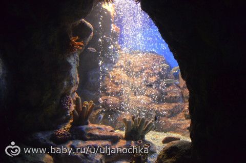Наш первый отдых в Краснодарском крае, Адлер июль 2016