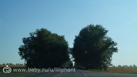 Наше огромное путешествие. Дорога в Красную поляну. Сочи (1 часть)