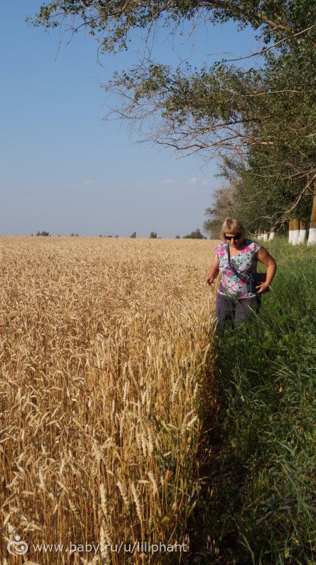 Наше огромное путешествие. Дорога в Красную поляну. Сочи (1 часть)