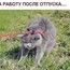 Данила Данила