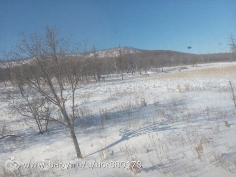 Вот такие мы, лягушки-путешествинницы)