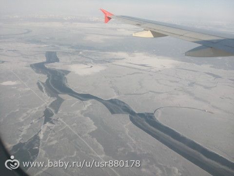 Вот такие мы, лягушки-путешествинницы)