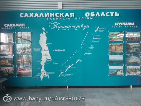 Вот такие мы, лягушки-путешествинницы)